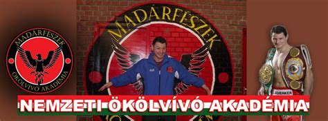 Madárfészek Ökölvívó Akadémia logója