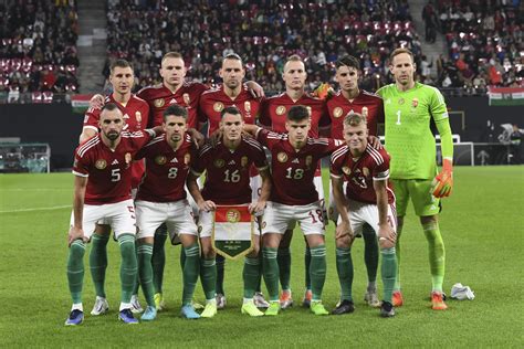 A magyar válogatott vb-selejtezős mérkőzései