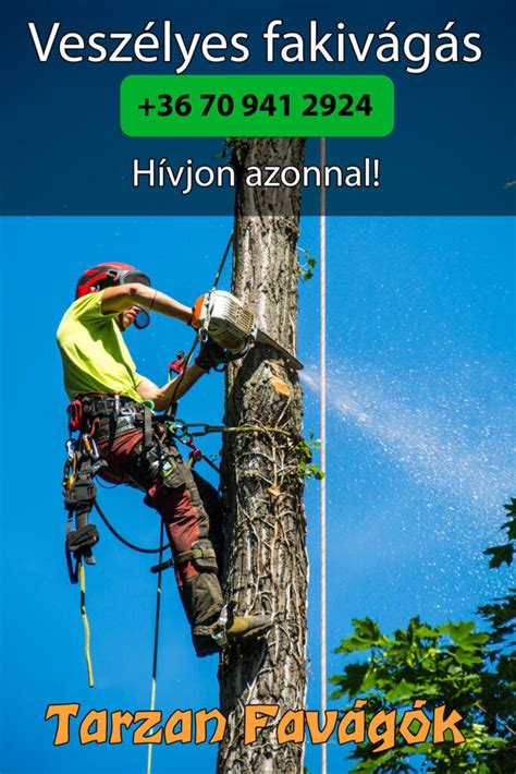 A fakivágás biztonsági szabályai és a megfelelő védőfelszerelés