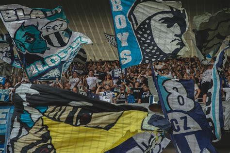 Statisztikák a BSC Young Boys és FC Zürich egymás elleni mérkőzéseiről