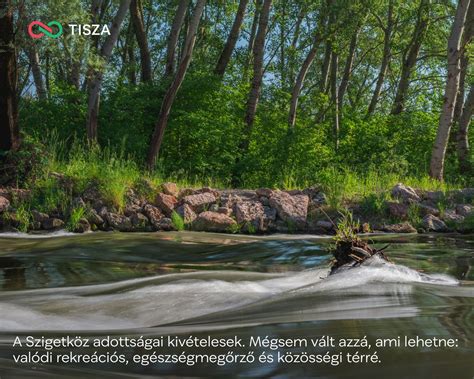 Tiszai ártéri táj
