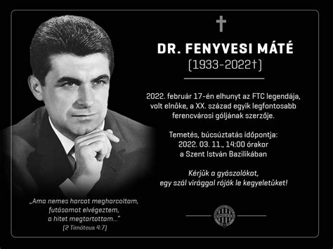 Fenyvesi Máté állatorvosi munkája közben