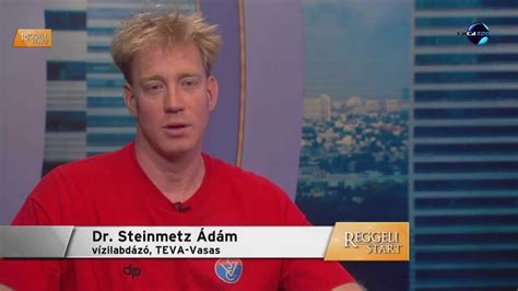 Steinmetz Ádám a parlamentben