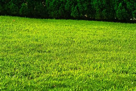 A GrassMaster gyep keresztmetszete a talajba injektált szálakkal