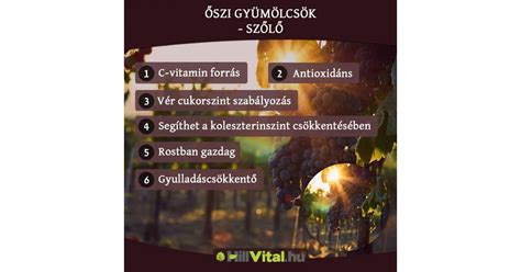 Infografika a Heréd LC őszi szezonjának statisztikáiról