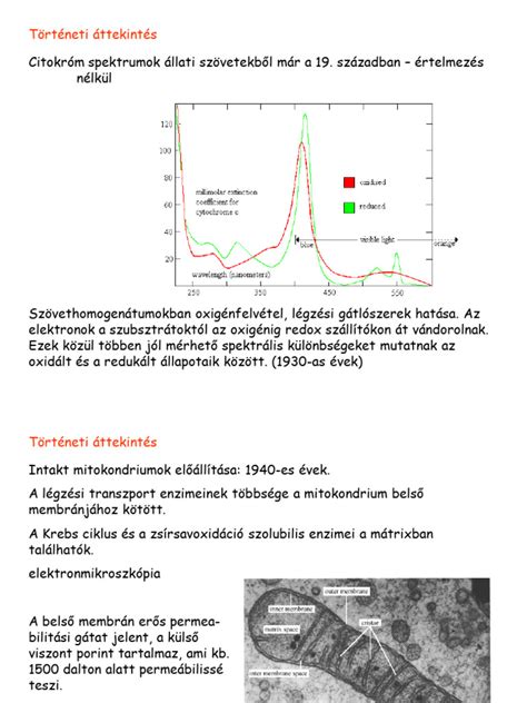 Kézilabda történeti áttekintés