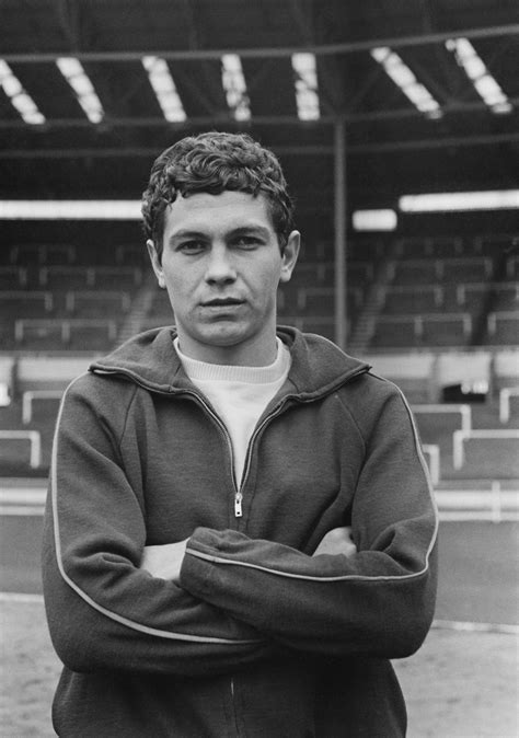 Mircea Lucescu portréja, edzői karrierjének mérföldköveivel