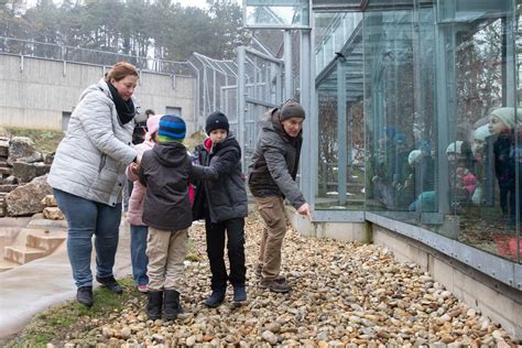 Zoo Kuckó interaktív foglalkozás