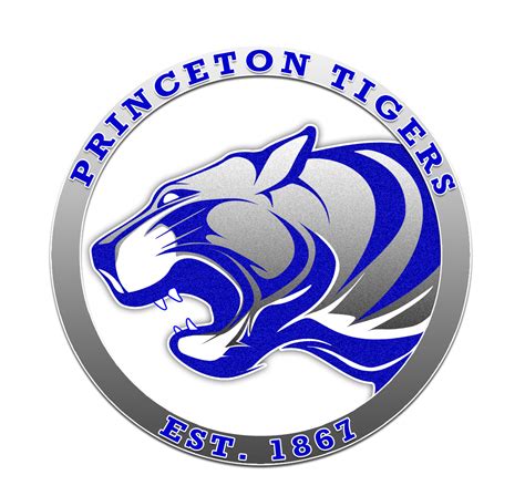 Princeton High School futballcsapata 1910-ben