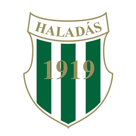 A Haladás U20-as kézilabdacsapatának portréja