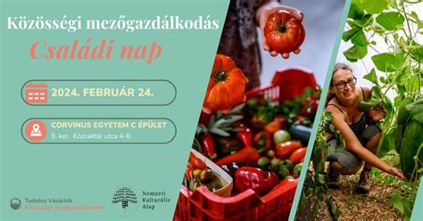 Közösségi mezőgazdaság a MagosVölgyben