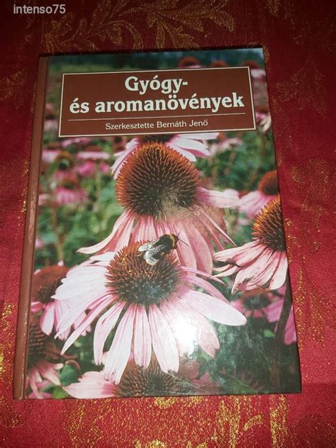 Bernáth és Janev a labdáért harcolnak