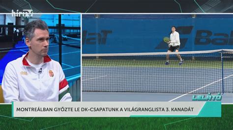 Teniszütők és labdák a pályán, rendezetten
