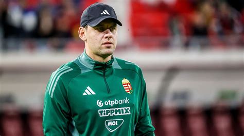 Szalai Ádám a Schalke mezében