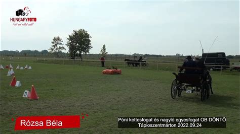 Kettes fogat versenypályán