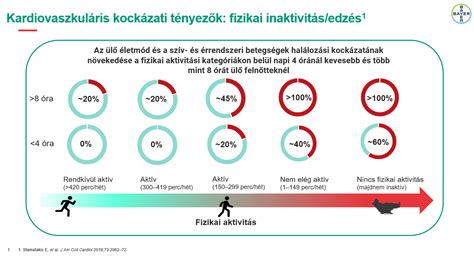 Játékvezetők fizikai felmérése
