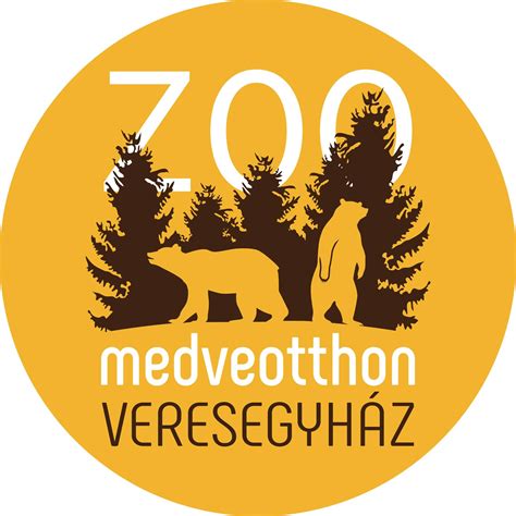 Veresegyházi Kosárlabdacsarnok belülről