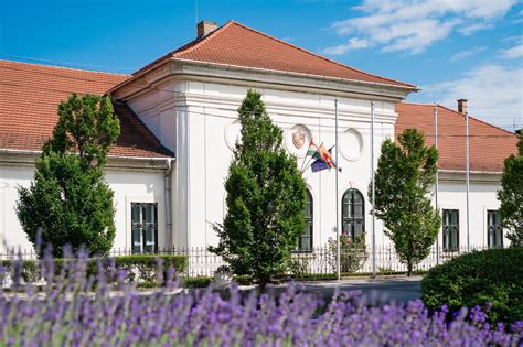 A Dunaharaszti Sportpálya légifelvétele