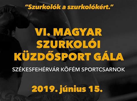 Magyar szurkolói küzdősport gála logója és a ring