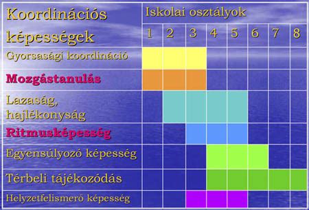 A koordinációs képességek fejlődése életkoronként