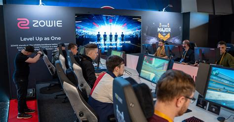 profi esportolók és sportmenedzsment