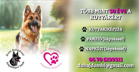 Szurkolók az állatkínzás ellen logóval ellátott egyedi pólók és ruházati termékek