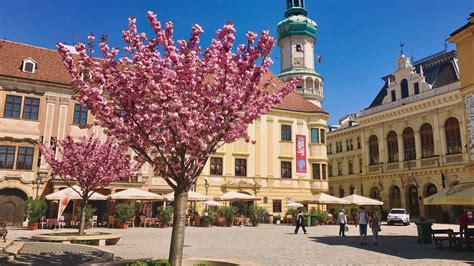 Sopron városának látképe a történelmi belvárossal