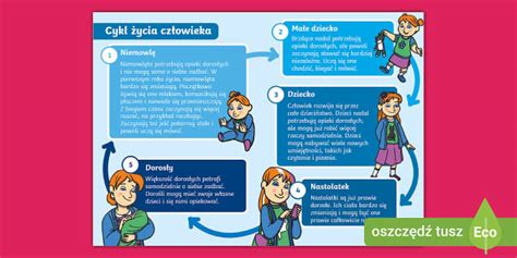A két csapat gólszerzőinek összehasonlítása infografika