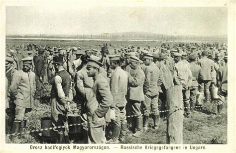 Magyar hadifoglyok a forradalmi Oroszországban