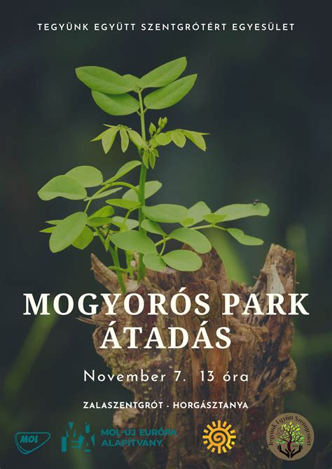 Aranycipő-díj átadó ünnepség