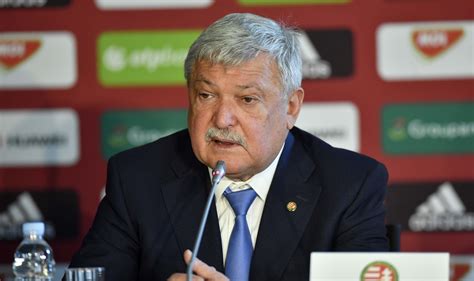 Csányi Sándor portréja az MLSZ logóval
