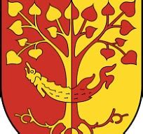 Nagymegyer város címere