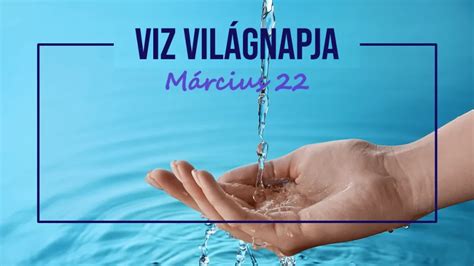 A Víz Világnapja logója és jelentősége infografika