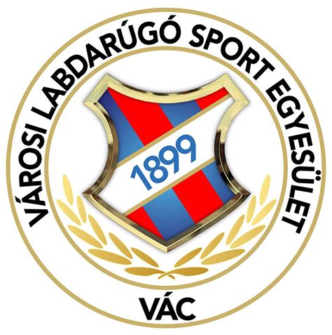 A Vác VLSE jelenlegi csapata
