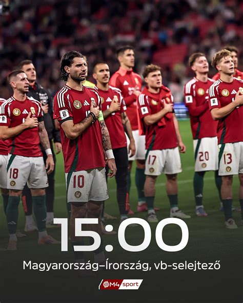 A válogatott küzdelmei a pályán