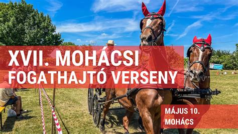 Fogathajtó versenyzők akcióban