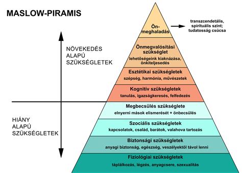 Séma: Tehetséggondozási piramis az utánpótlásban