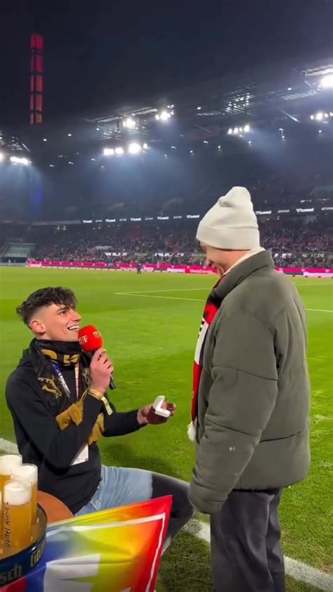 labdarúgó pálya és mérkőzés hangulat