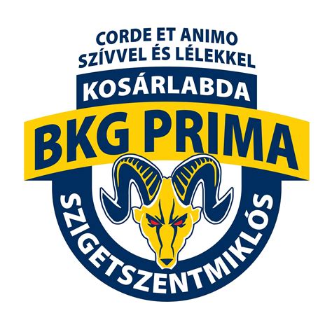 A BKG PRIMA Akadémia férfi csapatának játékban, egy elődöntő pillanatképe
