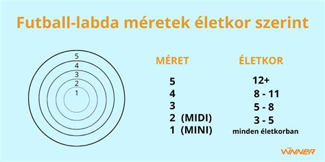 Focilabda méretek és korosztályok