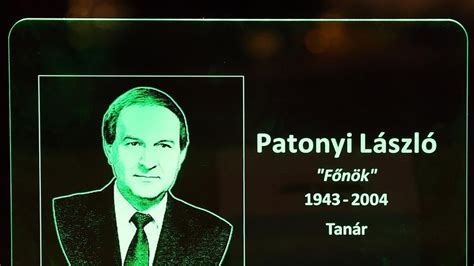Patonyi László portréja