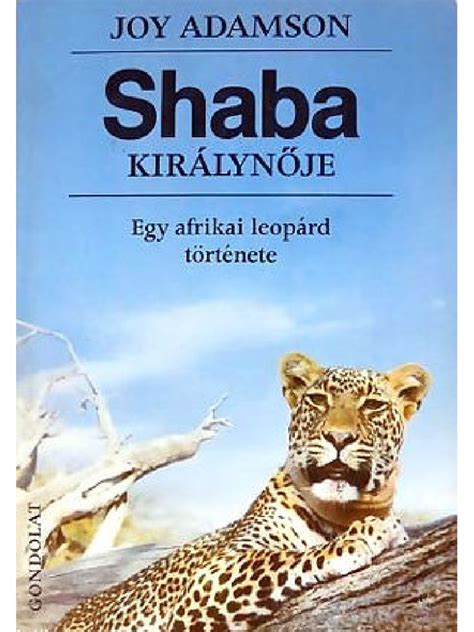 Taktikai séma egy afrikai mérkőzésről