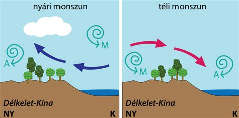 A talaj egészséges működését bemutató ábra