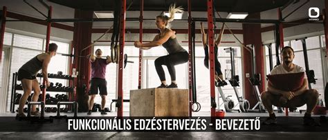 Edzéstervezés makro- és mikrociklusokkal