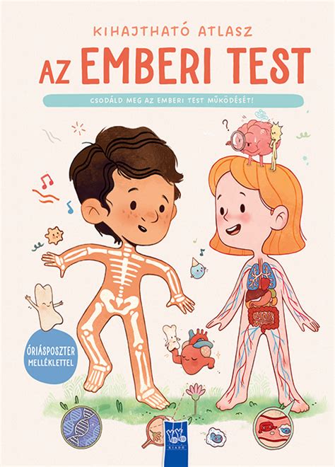 Az emberi test, mint komplex rendszer