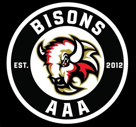 Adony Bisons logója és csapatkép