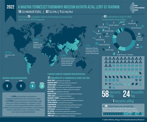 Infografika a kombinációk típusairól és képleteiről