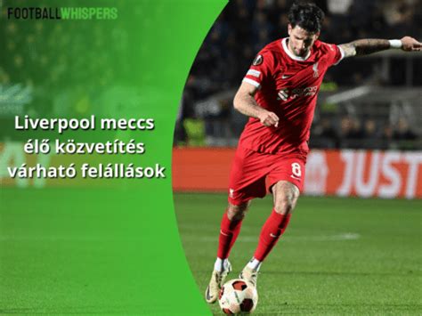 Sportfogadási felület élő meccs szorzókkal