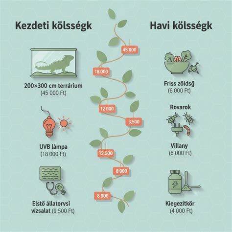 Infografika a magyarországi stadionfejlesztések költségeiről és számáról