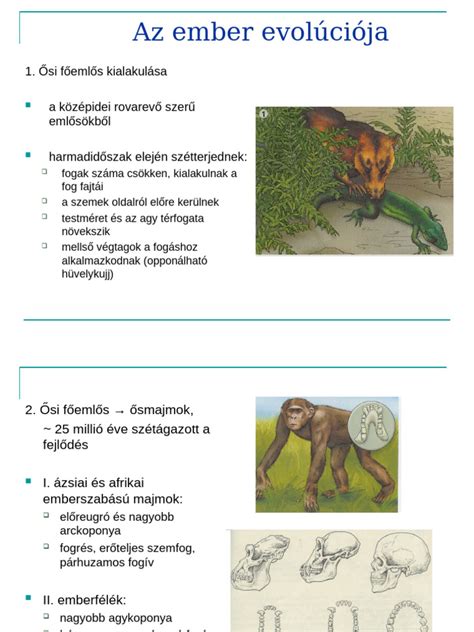 A csapat logójának evolúciója az évtizedek során